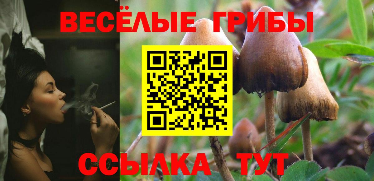 Галлюциногенные грибы GOLDEN TEACHER Узловая